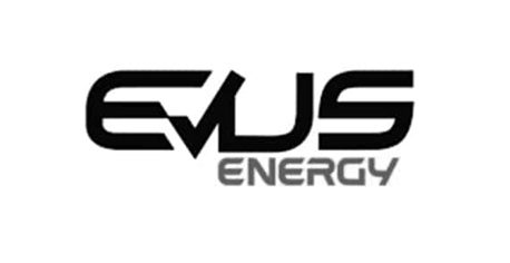 Logo Item